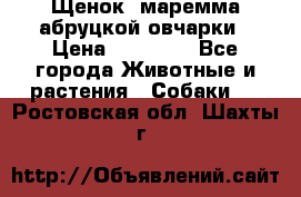 Щенок  маремма абруцкой овчарки › Цена ­ 50 000 - Все города Животные и растения » Собаки   . Ростовская обл.,Шахты г.